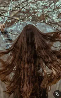 فروش موهای شما