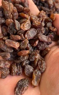 کشمش آفتابی