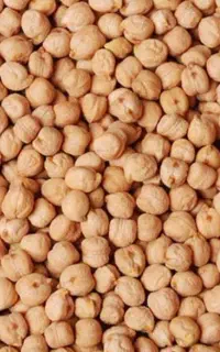 نخود و عدس درشت