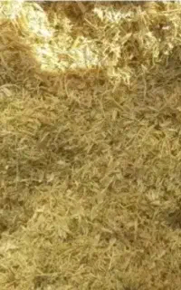 کاه عدس