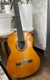 فروش گیتار