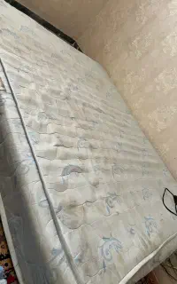 تشک مارک رویای