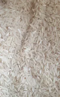 برنج فجر 90روزه تازه الان سفید کردم