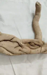 چوب تزئینی برای قفس