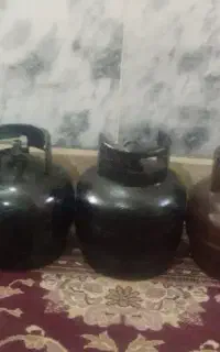 پکنیک سالم