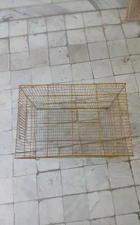 قفس