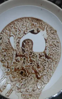 فال نجومی قهوه
