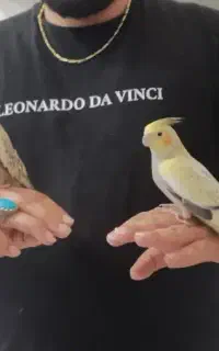 پرنده زینتی خزر