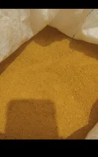کشک زرد