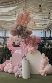 تشریفات مجالس بادکنک ارایی و گلارایی