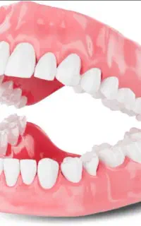 دندان مصنوعی در محلات فوری یک روزه