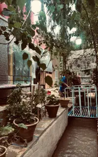 بارتندر حرفه ای سابقه دار