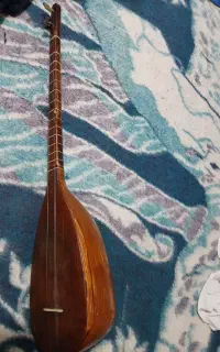 یک عدد تنبورطلایی