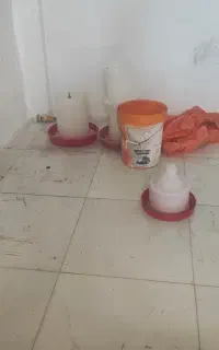 وسایل مرغ فروشی کامل