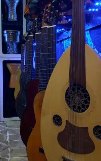 گیتار سنتور تنبک هنگدرام تار سه‌تار ارگ و