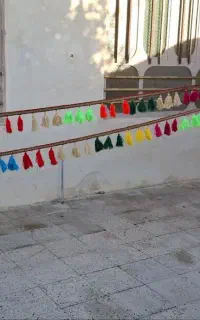 دوعدد شیردنگ