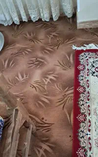 موکت سالم ۶۰ متر