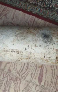کپسول سی ان جی بزرگ