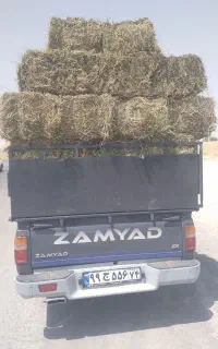 خرید و فروش یونجه