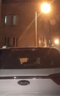 راننده خانم جویای کار