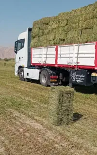 ۱۹ پرس یونجه
