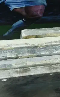 بیلیارد ۱۲ فوت در حد نو