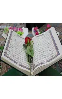 ختم قرآن با ناز ترین قیمت