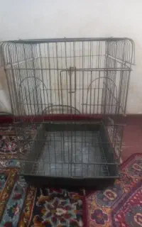 فروش قفس عروس هلندی