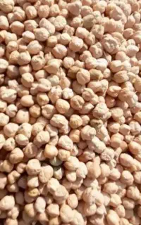 نخود گریت تازه عمده و جزیی فروش حبوبات دیگه موجوده