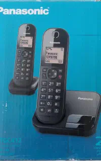 پاناسونیک اصل