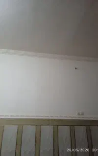 وانت پیکان