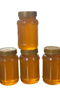 عسل طبیعی زشک