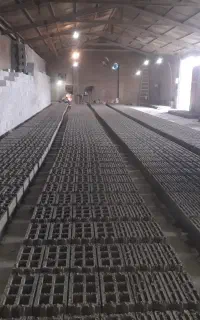 دستگاه زن با کادونا