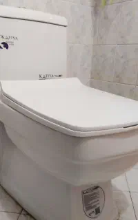 توالت فرنگی
