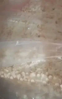 نان خشک