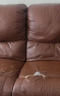 مبل  تختخواب شو چرم