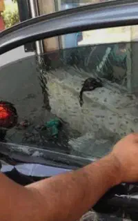 شیشه دودی
