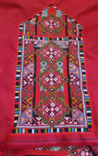 زیاستین