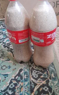 بذر دارو گیاهی اصلاح شده