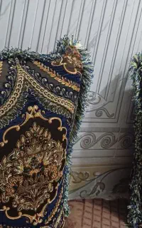 جلد پشتی