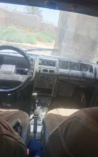 رنوپیکی سالم سرحال