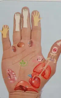 آموزش آنلاین طب سنتی