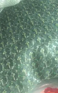 مژده مژده پارچه شش عدد