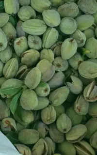 پوست کندن و شکستن بادام گردو