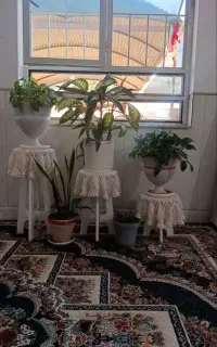 گل و گلدون پایه گلدون