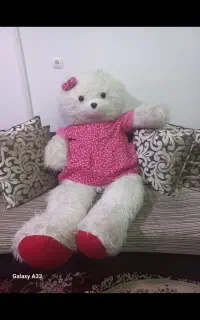 خرس شاسخین بزرگ