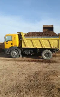 کود  گاوی وگوسفندی