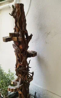 درخت بار