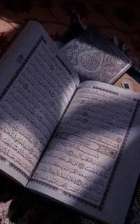 احساسی