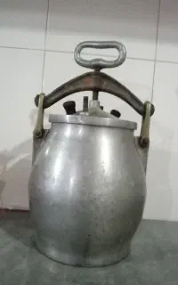 دیگ زود پز